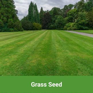 View All Grass Seed